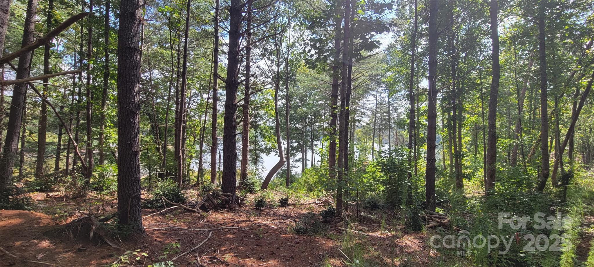 Tba Scenic Lane Granite Falls NC 28630