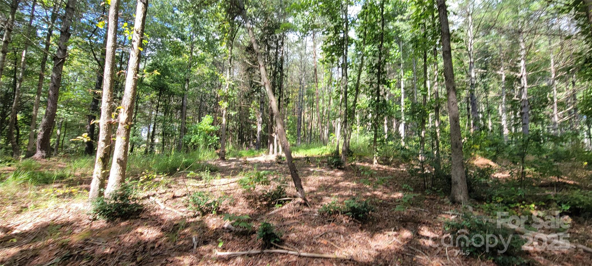 Tba Scenic Lane Granite Falls NC 28630