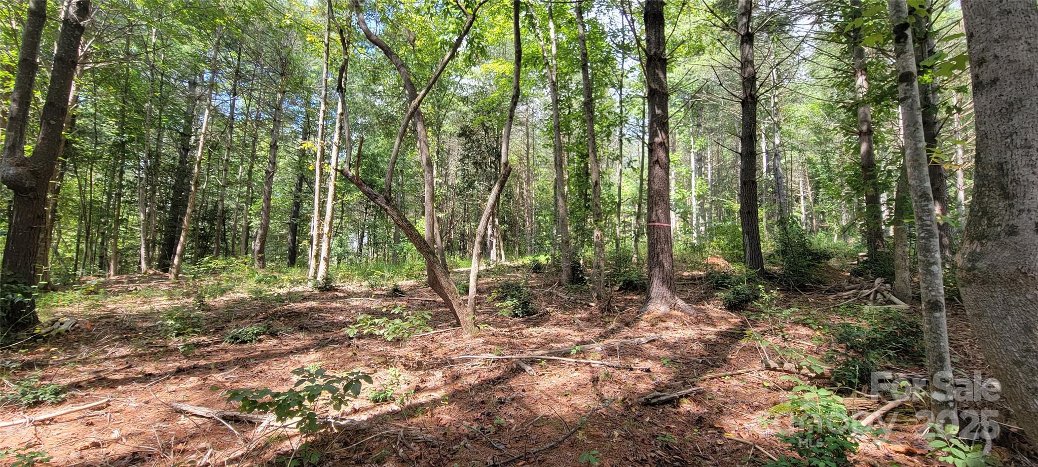 Tba Scenic Lane Granite Falls NC 28630