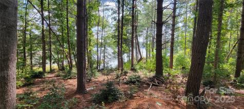 Tba Scenic Lane Granite Falls NC 28630