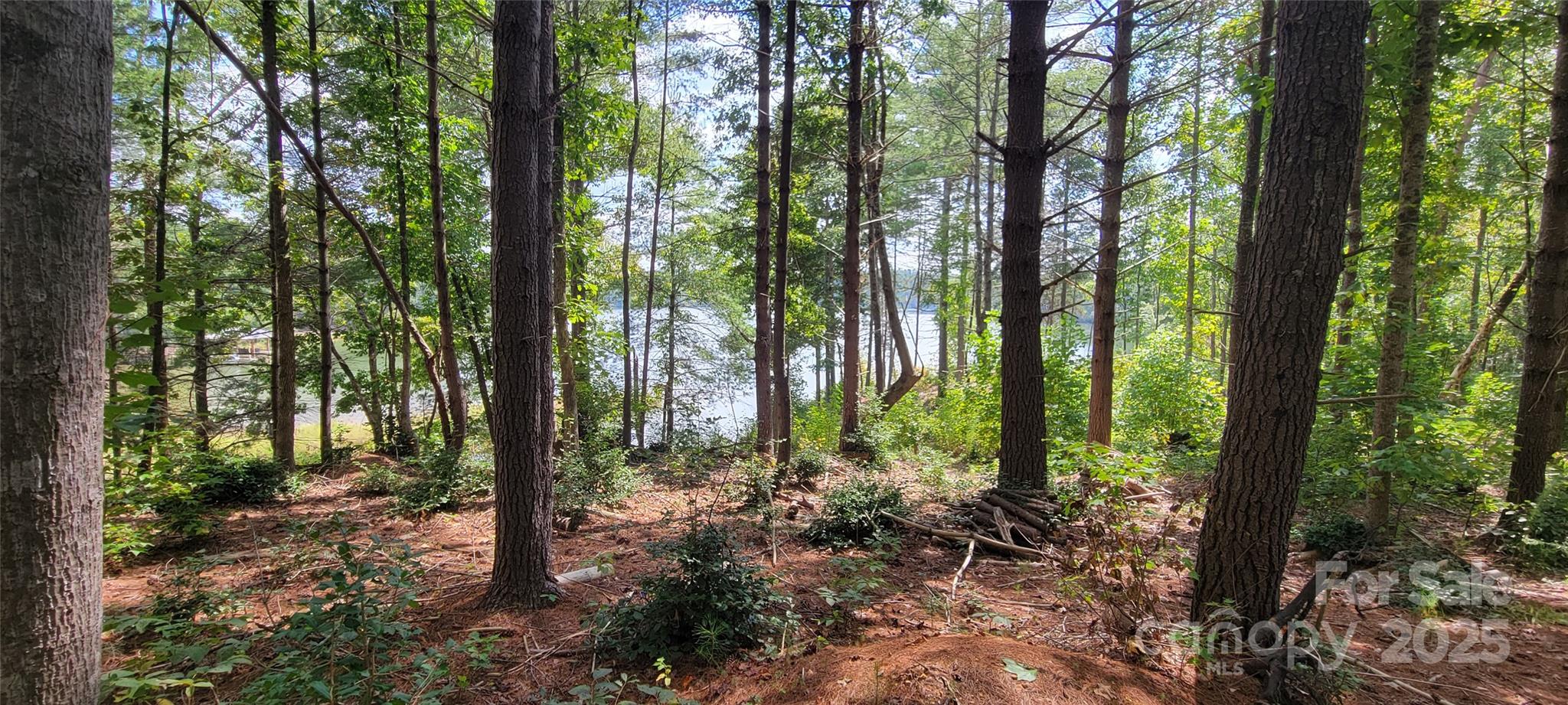 Tba Scenic Lane Granite Falls NC 28630