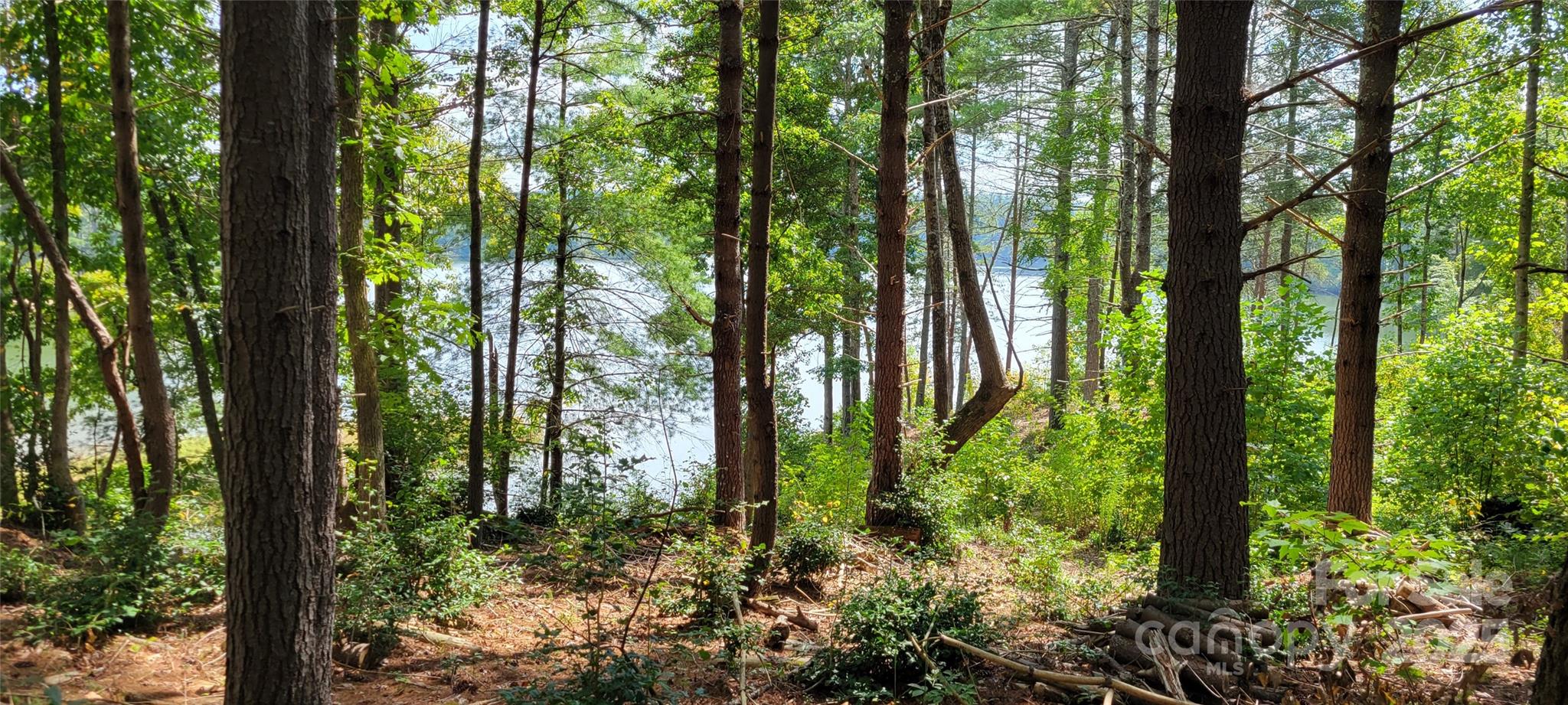 Tba Scenic Lane Granite Falls NC 28630