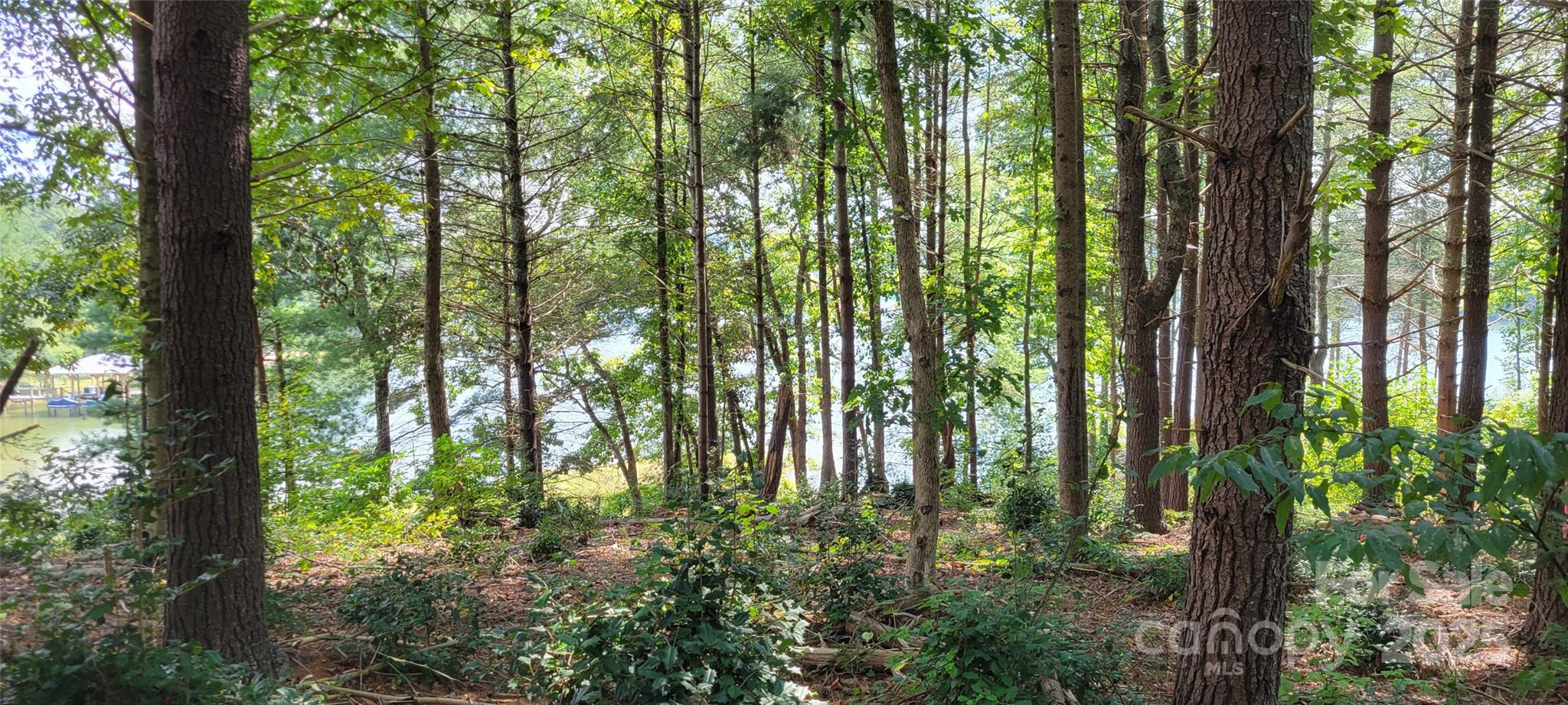Tba Scenic Lane Granite Falls NC 28630