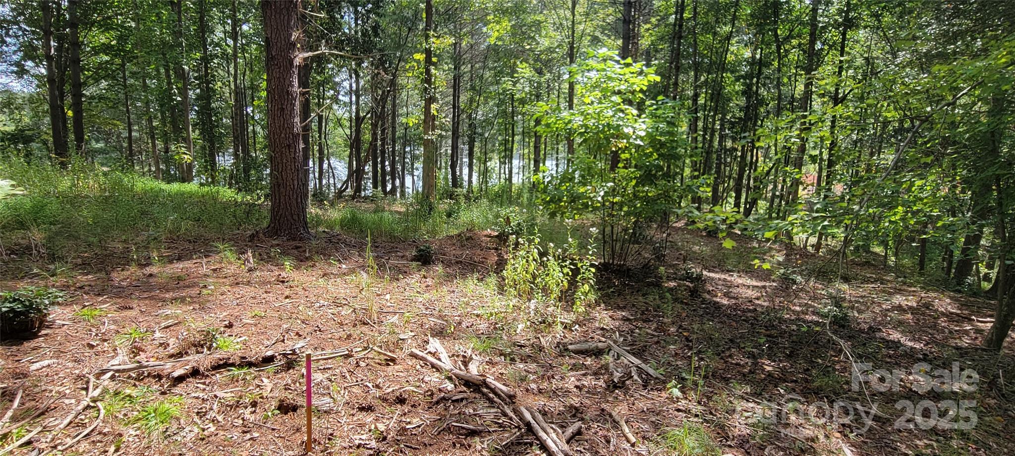 Tba Scenic Lane Granite Falls NC 28630