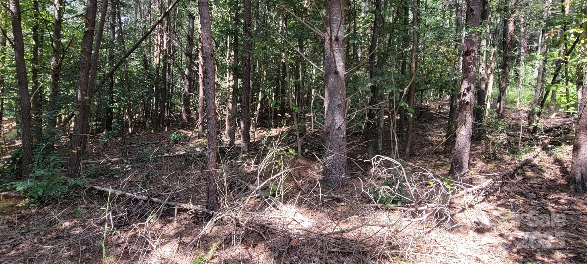 Tba Scenic Lane Granite Falls NC 28630