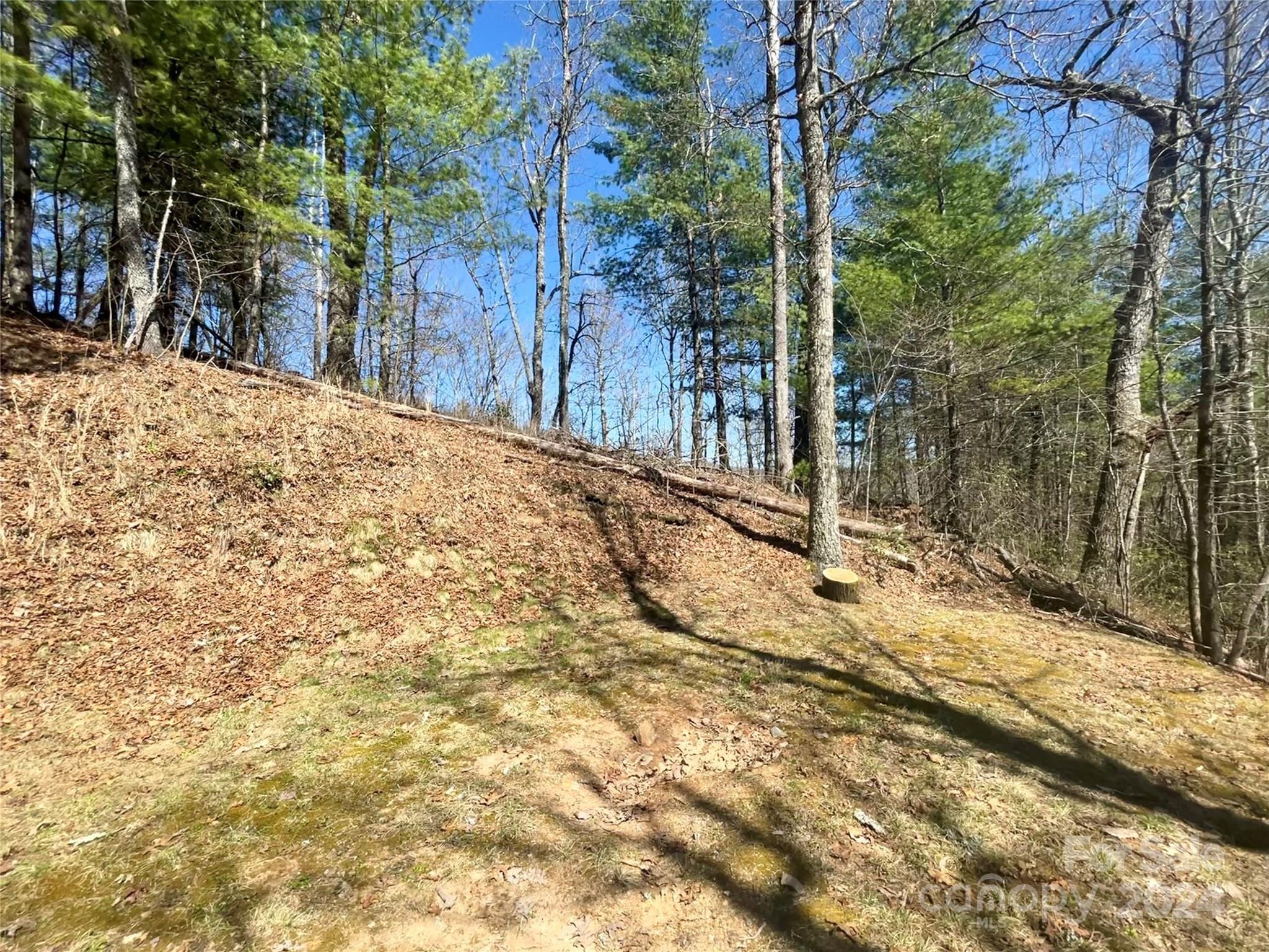 Lot 3 On Saturn Way Bryson City NC 28781