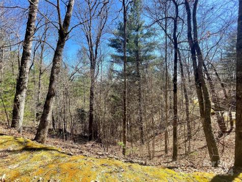Lot 3 On Saturn Way Bryson City NC 28781