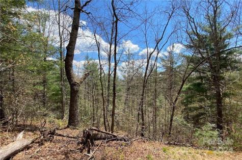Lot 3 On Saturn Way Bryson City NC 28781
