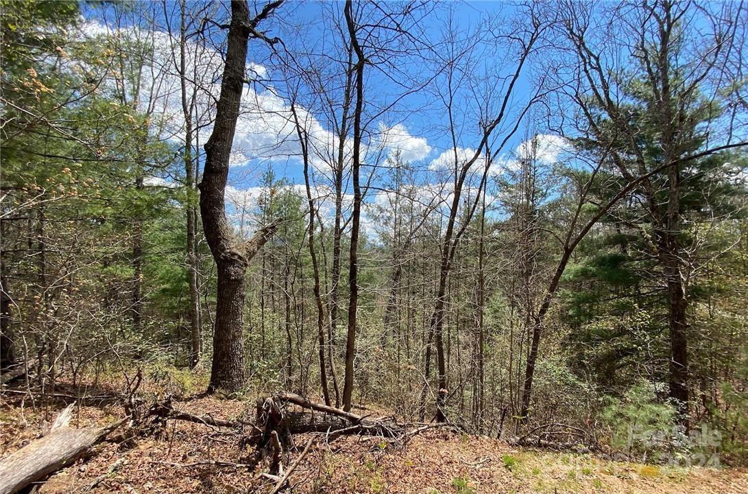 Lot 3 On Saturn Way Bryson City NC 28781