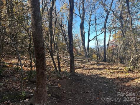 Lot 6 Miller Mountain Road Saluda NC 28773