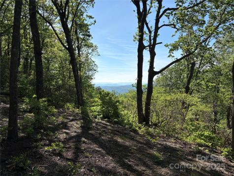 Lot 6 Miller Mountain Road Saluda NC 28773