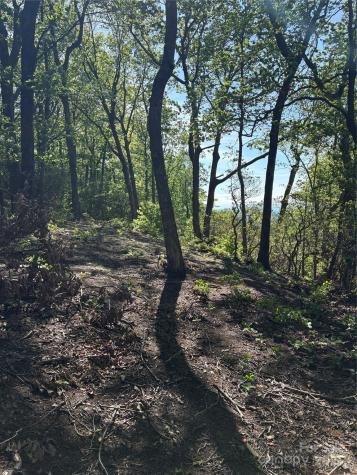 Lot 6 Miller Mountain Road Saluda NC 28773