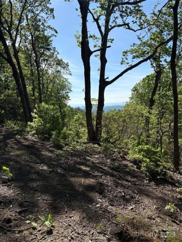 Lot 6 Miller Mountain Road Saluda NC 28773