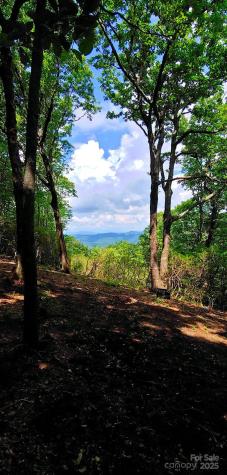Lot 6 Miller Mountain Road Saluda NC 28773