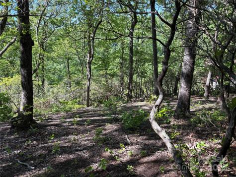 Lot 6 Miller Mountain Road Saluda NC 28773