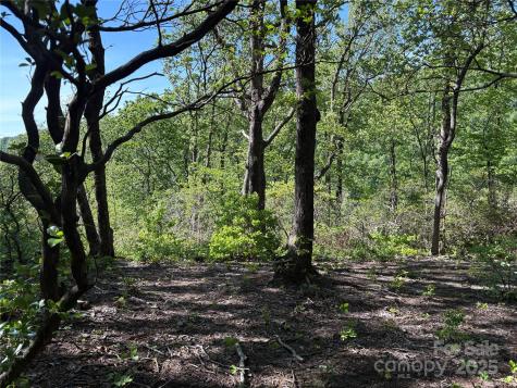 Lot 6 Miller Mountain Road Saluda NC 28773