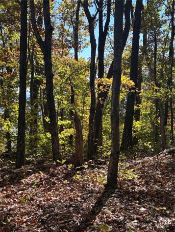 Lot 6 Miller Mountain Road Saluda NC 28773