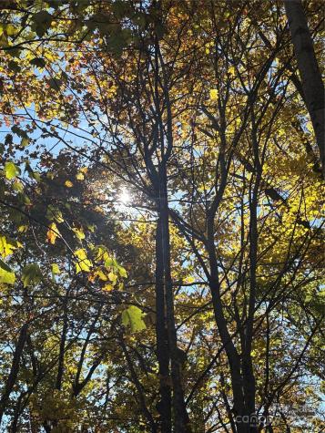 Lot 6 Miller Mountain Road Saluda NC 28773