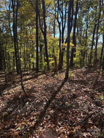 Lot 6 Miller Mountain Road Saluda NC 28773