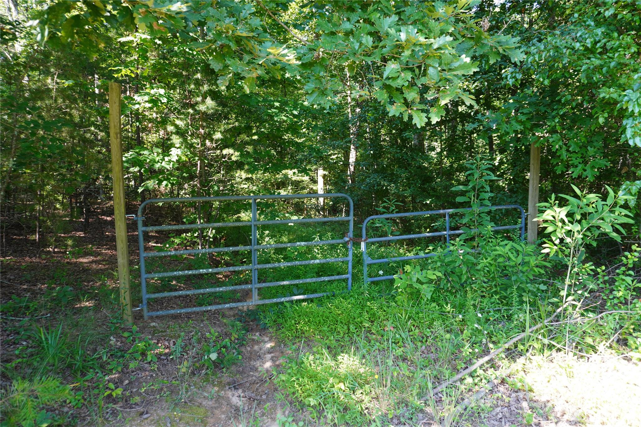 2899 Golden Bell Lane Hudson NC 28638