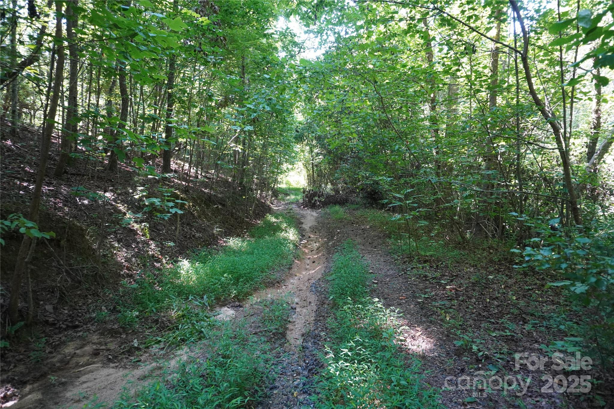 2899 Golden Bell Lane Hudson NC 28638