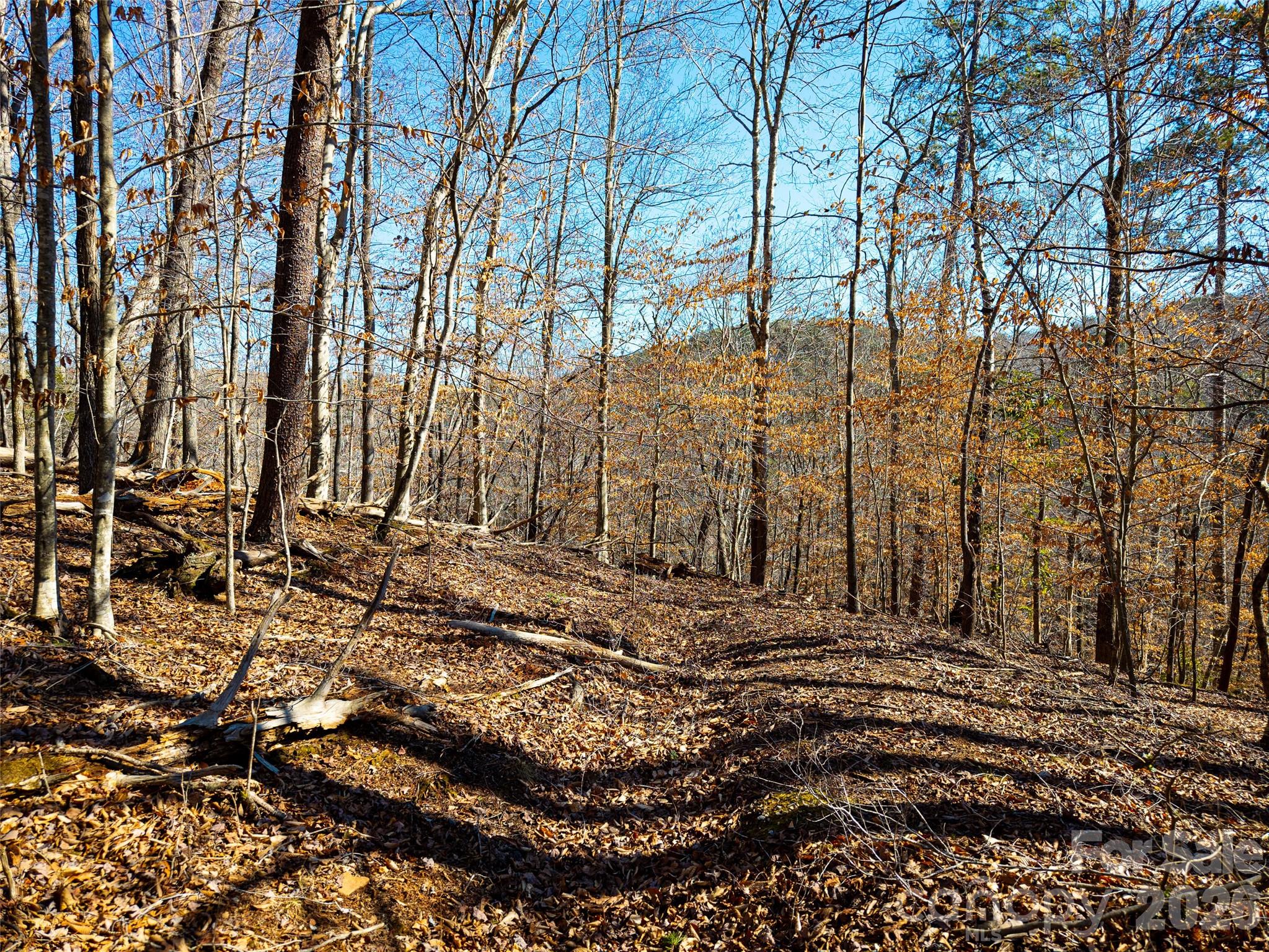Tbd Rondo Ridge Road Tryon NC 28782