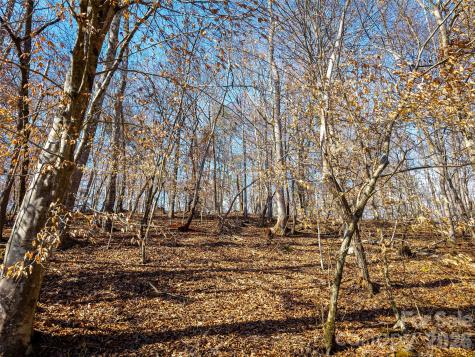 Tbd Rondo Ridge Road Tryon NC 28782