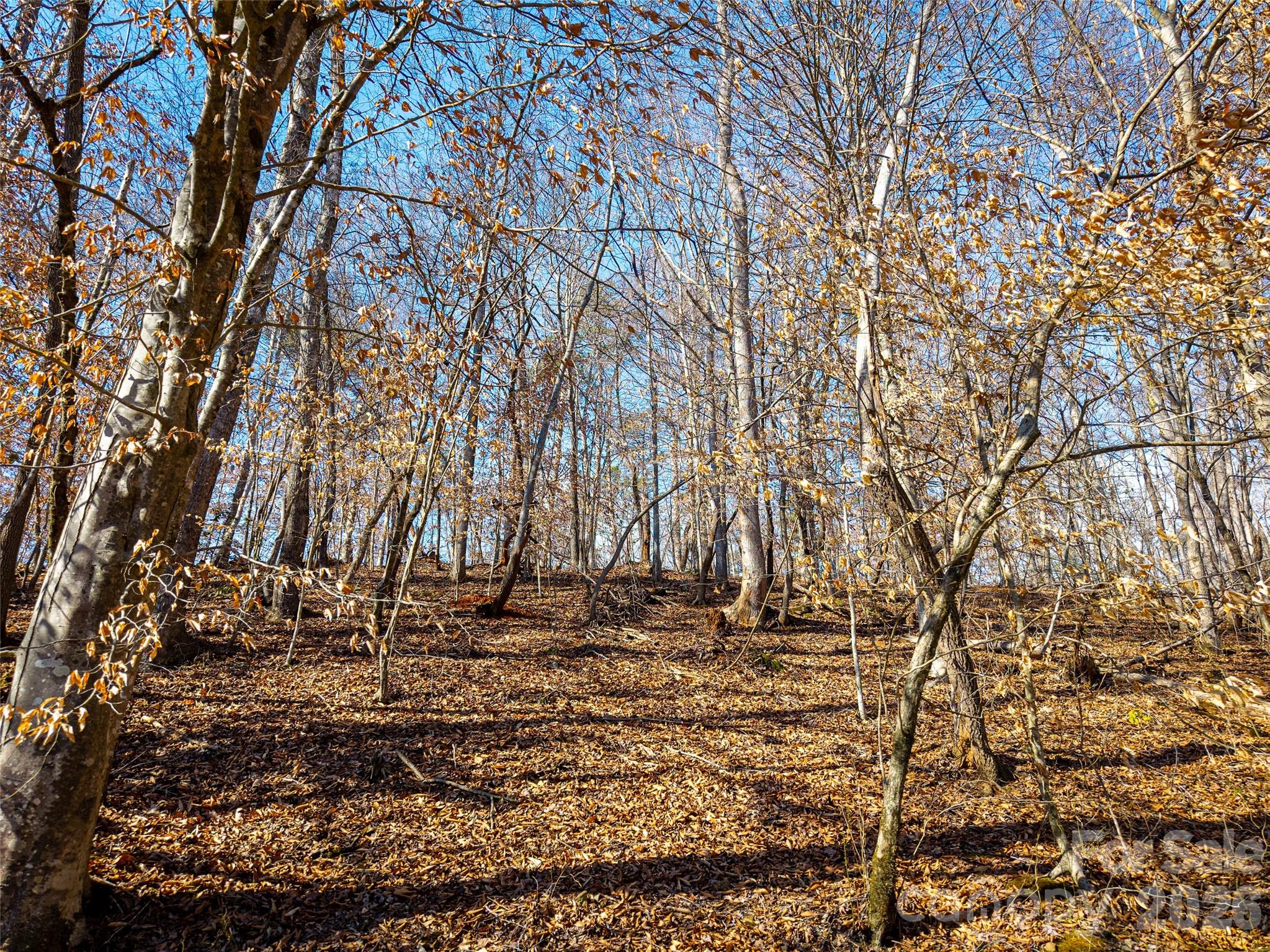 Tbd Rondo Ridge Road Tryon NC 28782