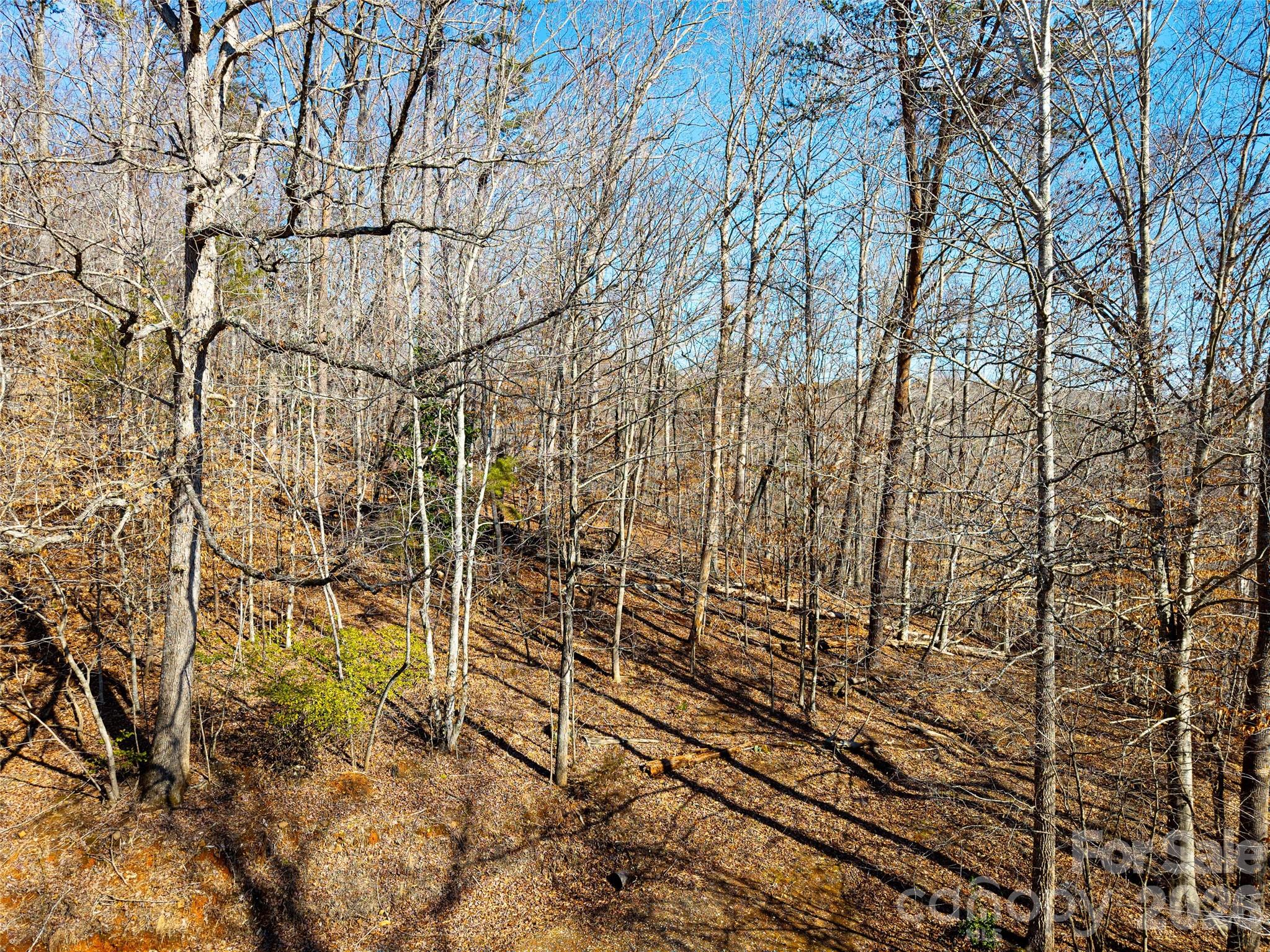 Tbd Rondo Ridge Road Tryon NC 28782