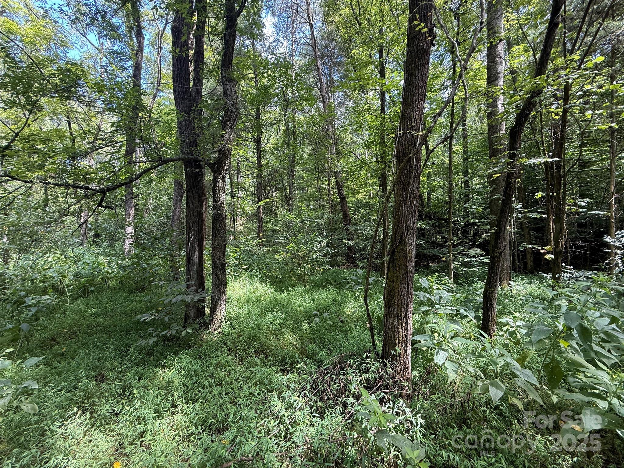 14.57 New Salem Drive Statesville NC 28625