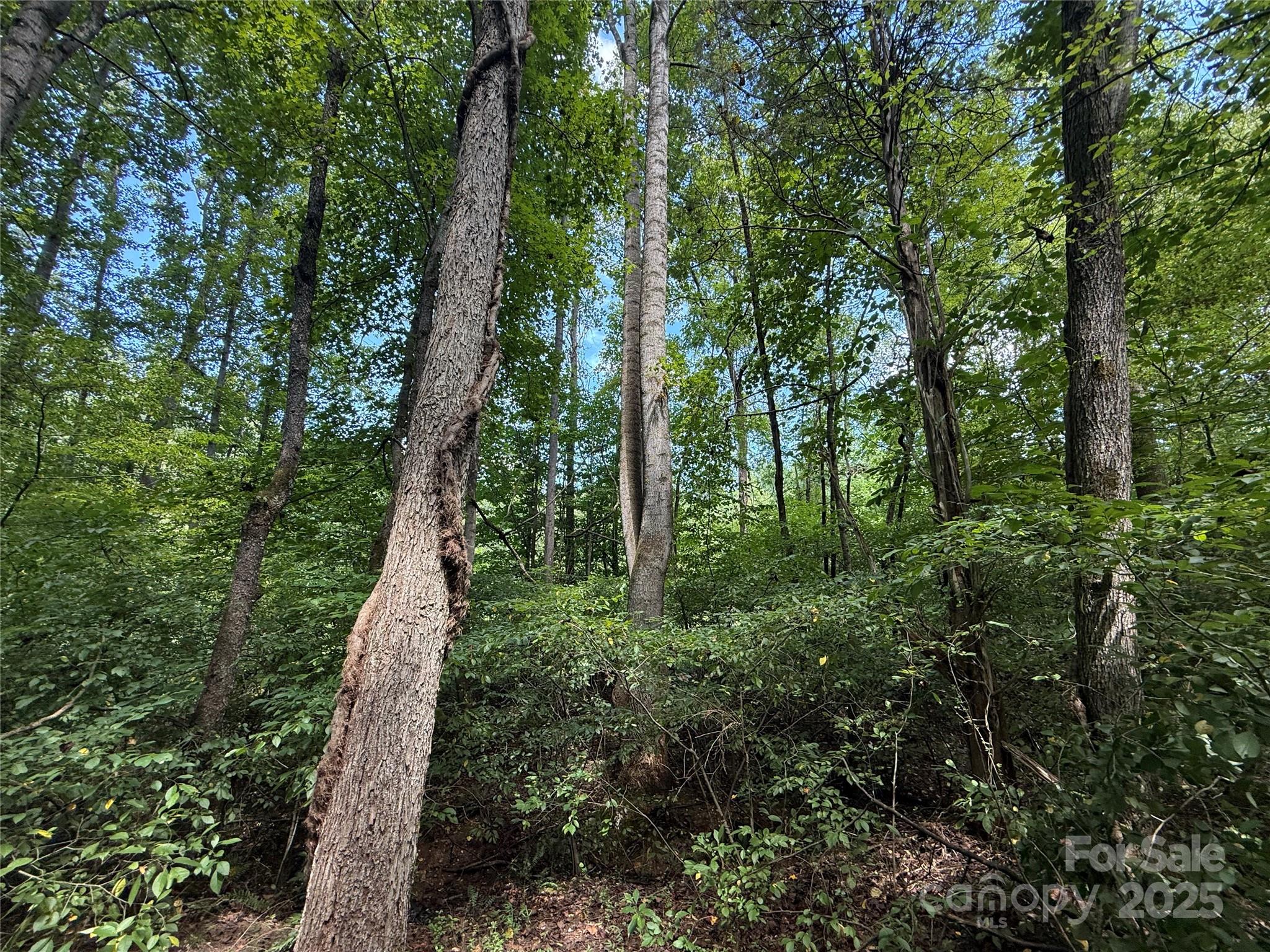 14.57 New Salem Drive Statesville NC 28625