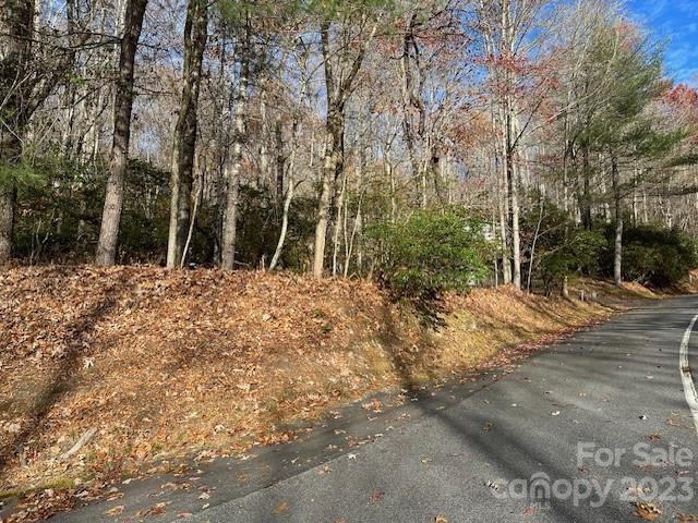 Tbd Echota Lane Brevard NC 28712