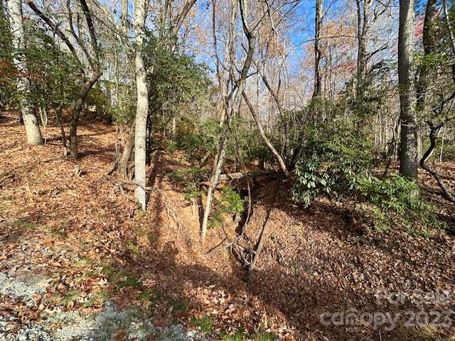 Tbd Echota Lane Brevard NC 28712
