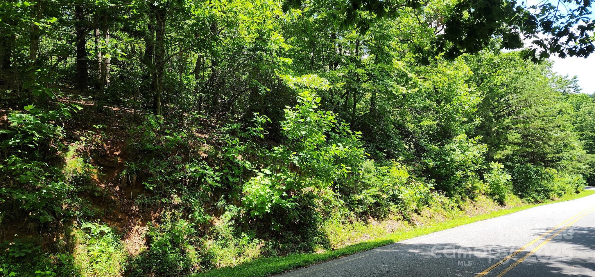 Lot 35 White Oak Mountain Road Columbus NC 28722