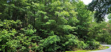 Lot 35 White Oak Mountain Road Columbus NC 28722