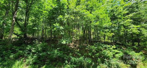 Lot 35 White Oak Mountain Road Columbus NC 28722