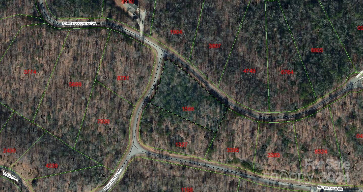 0 Forest Country Drive Marion NC 28752