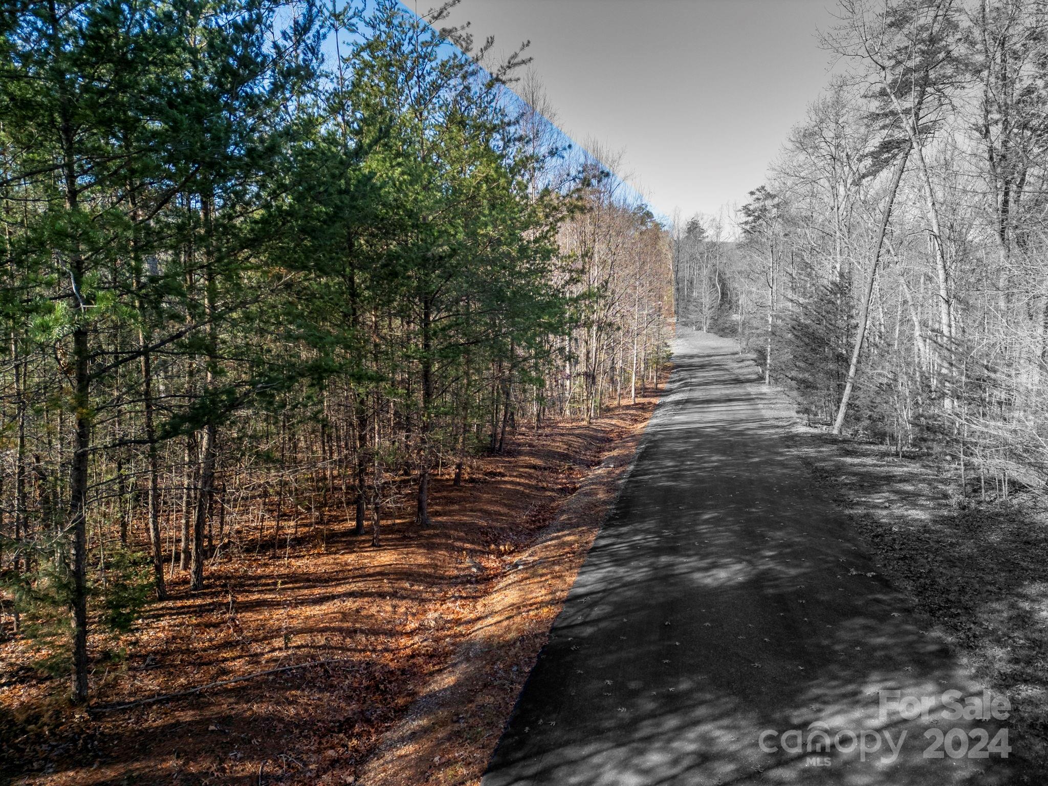 0 Forest Country Drive Marion NC 28752