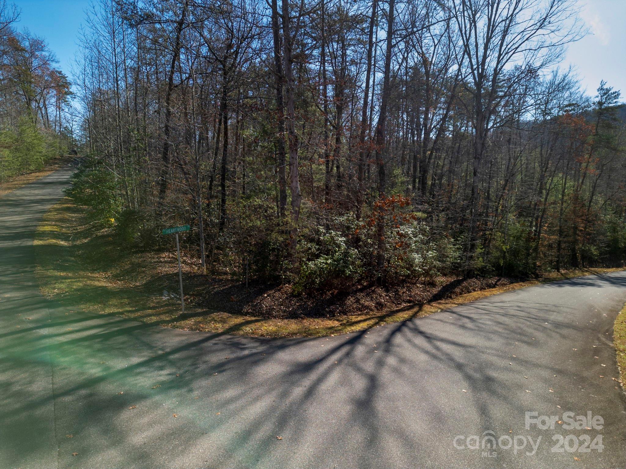 0 Forest Country Drive Marion NC 28752
