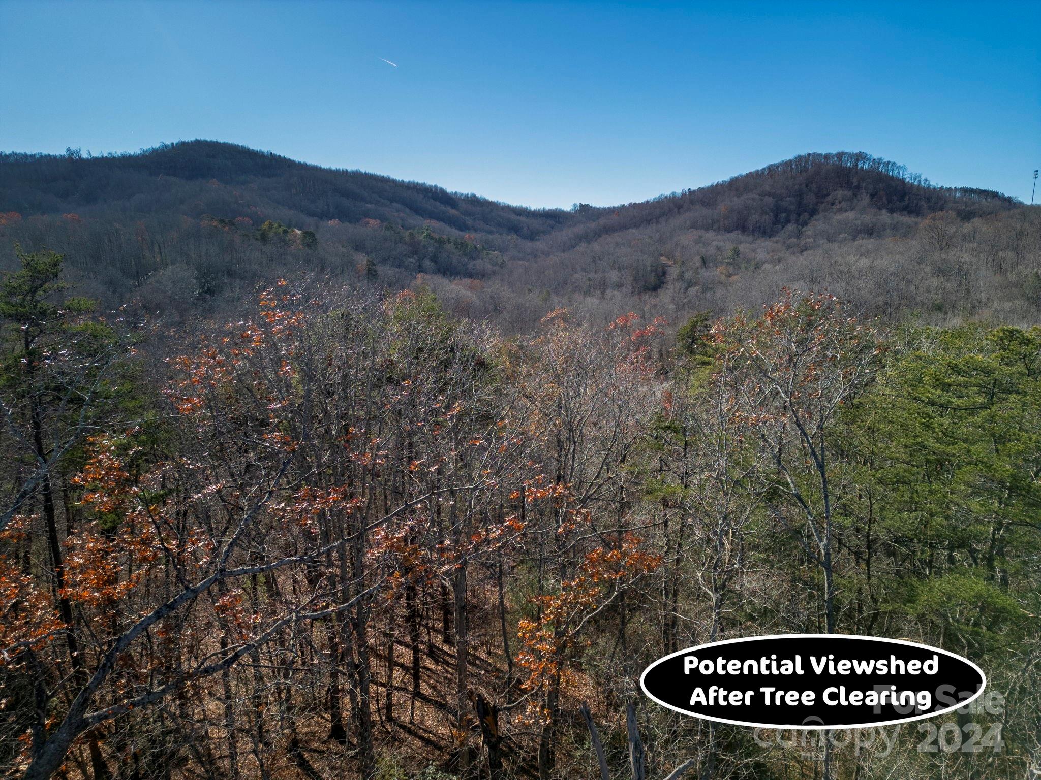 0 Forest Country Drive Marion NC 28752