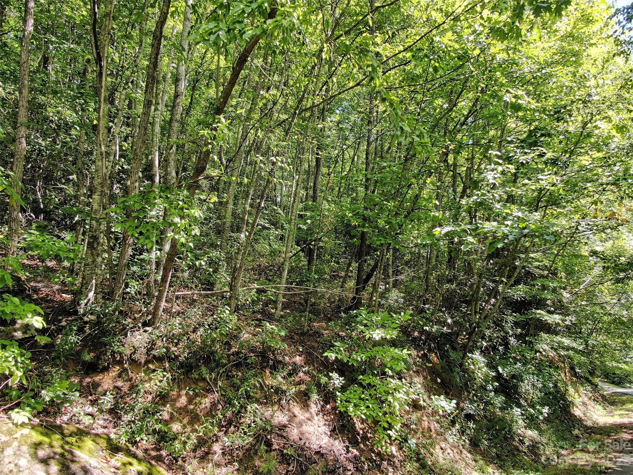 0 Winding Creek Drive Waynesville NC 28786