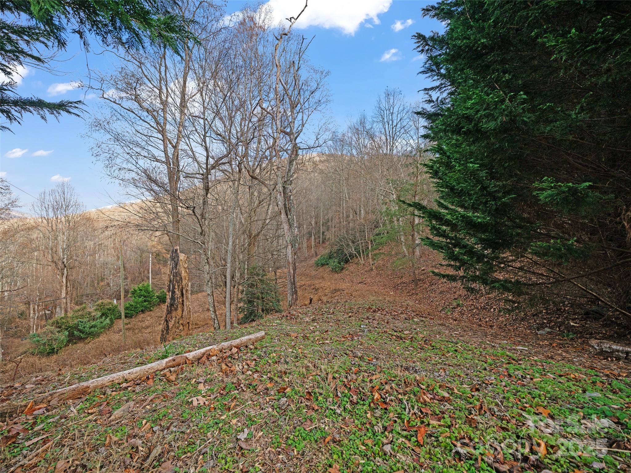 99999 Flora Rose Trail Asheville NC 28803