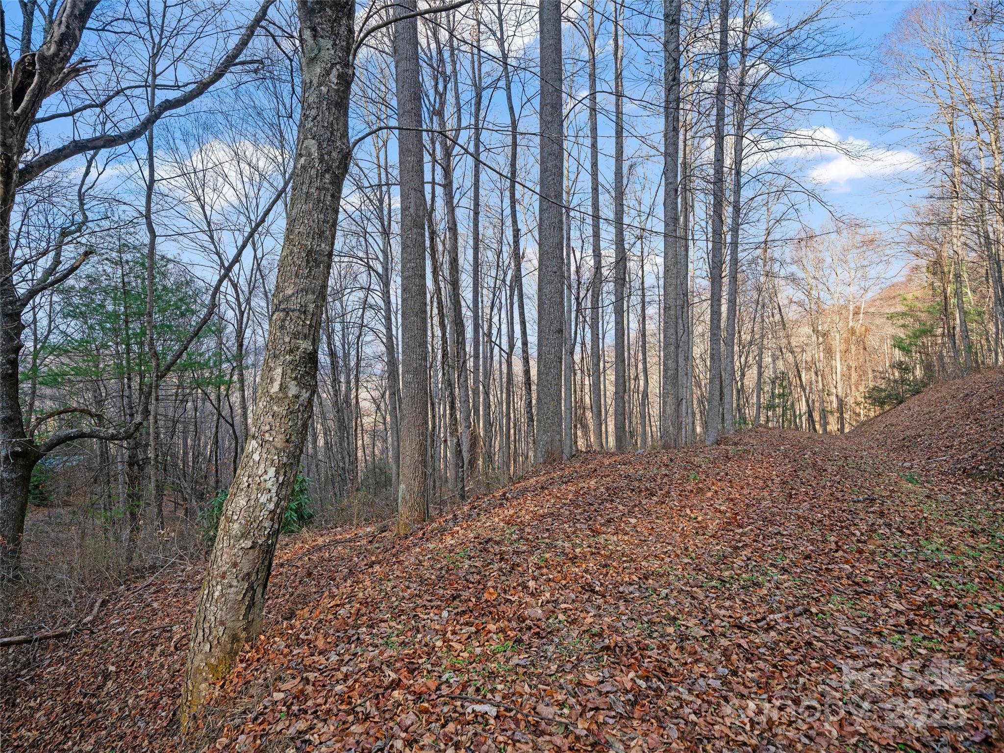 99999 Flora Rose Trail Asheville NC 28803