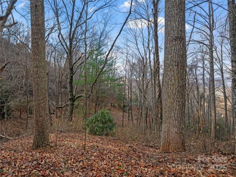 99999 Flora Rose Trail Asheville NC 28803