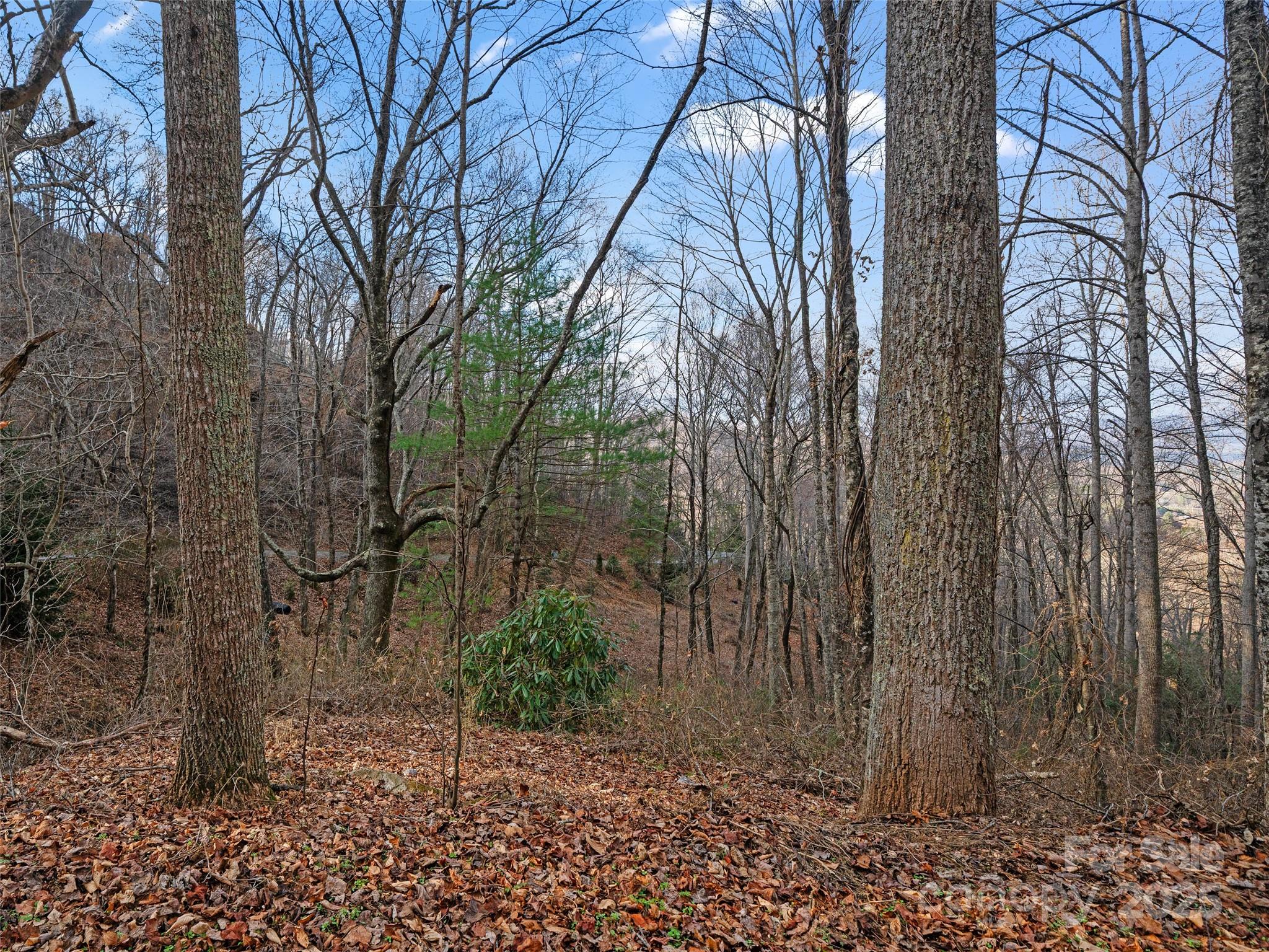99999 Flora Rose Trail Asheville NC 28803