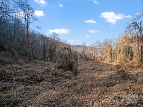 99999 Flora Rose Trail Asheville NC 28803