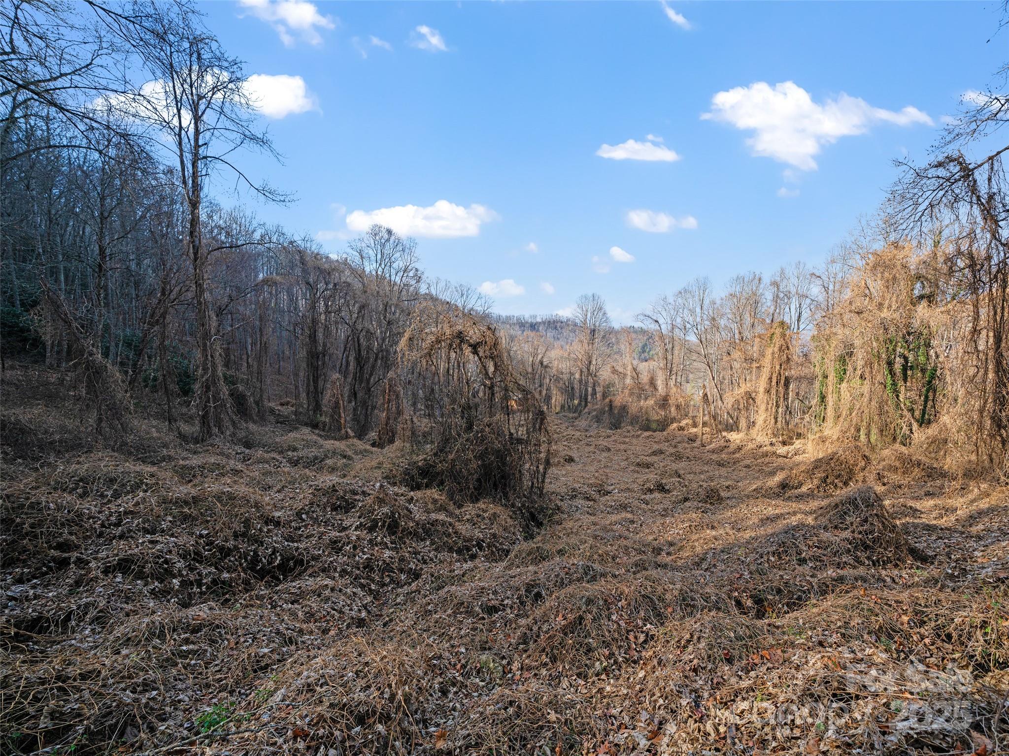 99999 Flora Rose Trail Asheville NC 28803