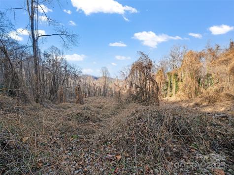 99999 Flora Rose Trail Asheville NC 28803