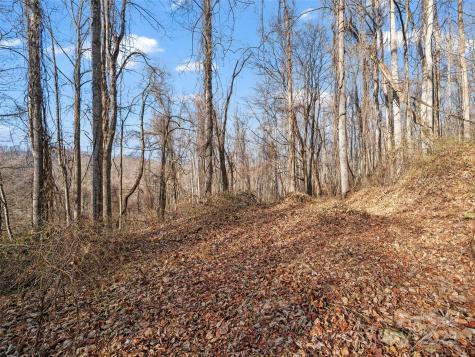 99999 Flora Rose Trail Asheville NC 28803