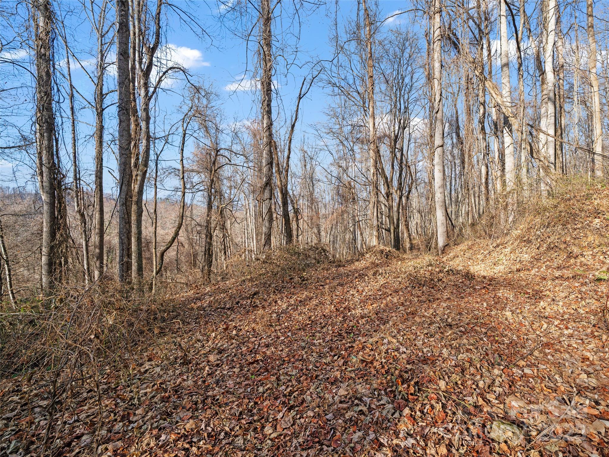 99999 Flora Rose Trail Asheville NC 28803